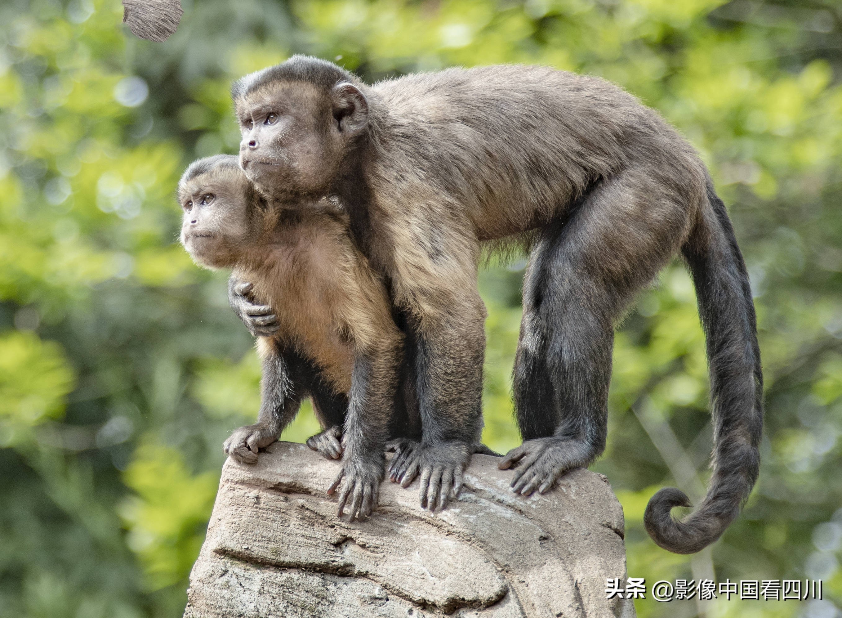 刘国兴的2022年:冬去春来,愿岁月静好(上集)