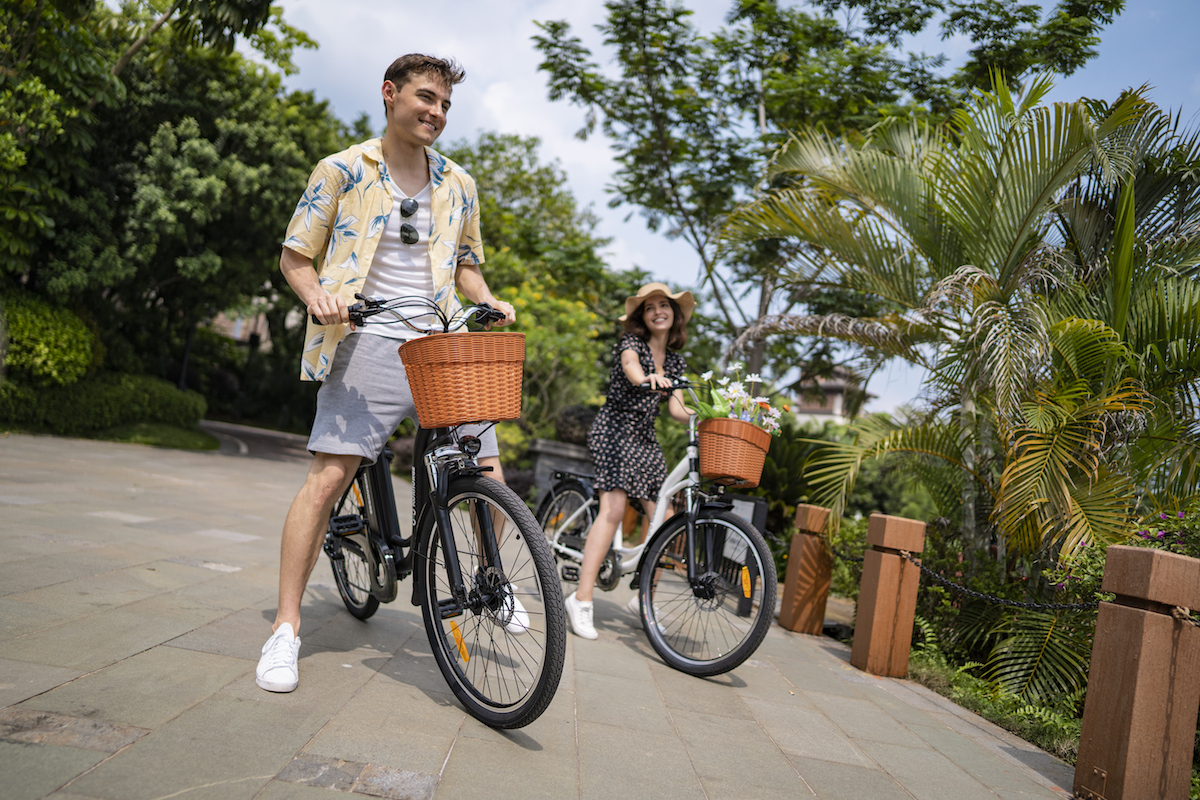 运输工具演变,交通工具的变革