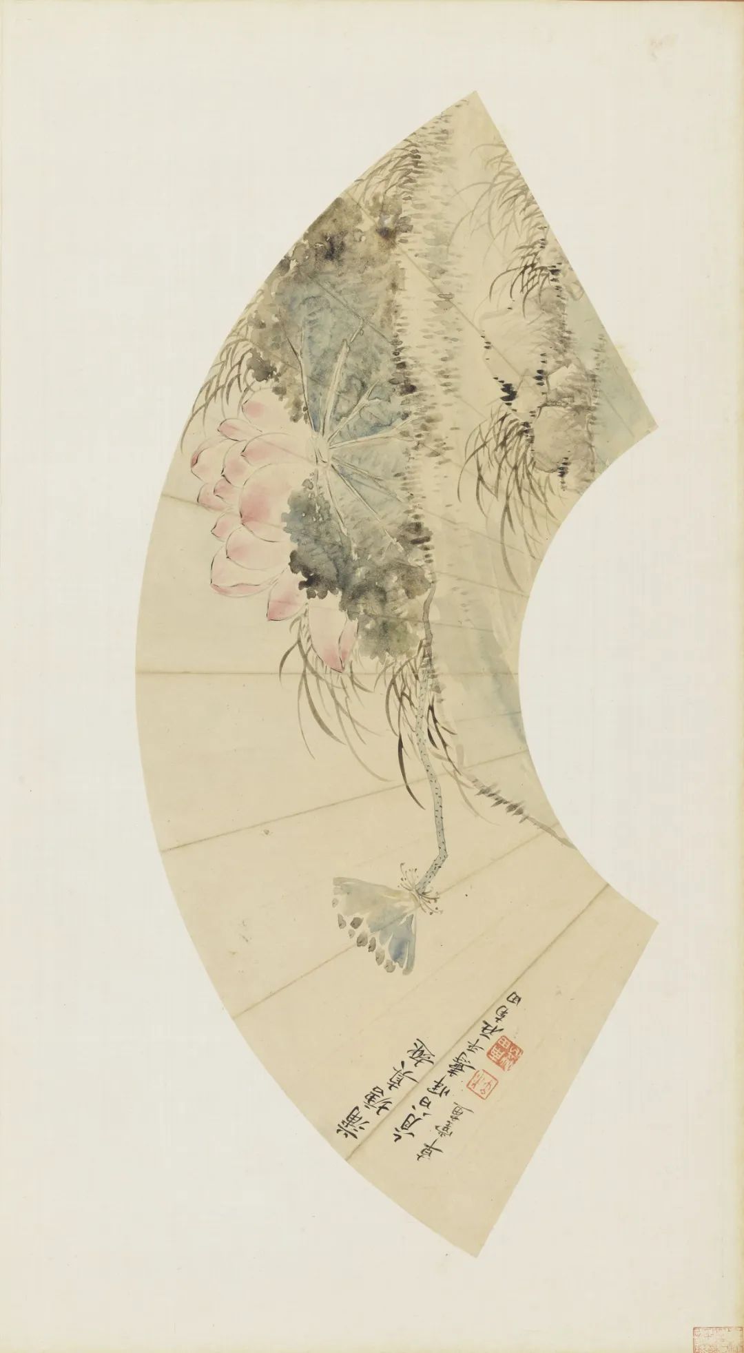 慕容看世界的视频,慕容看世界所有视频