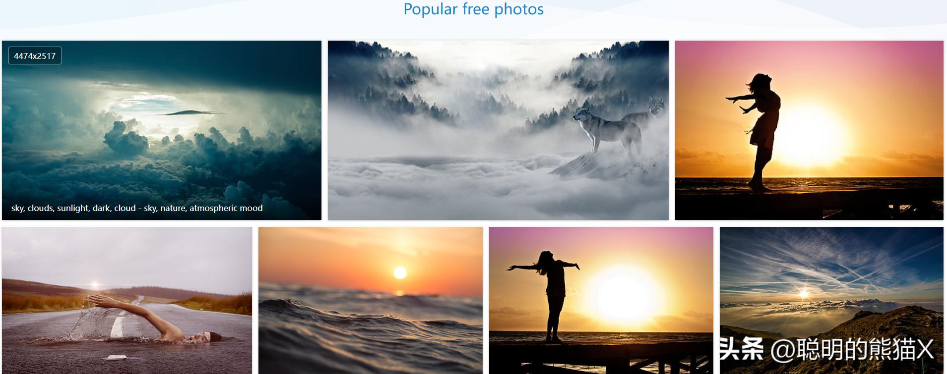 免费的图片素材模板网站,免费的图片素材网站不用会员