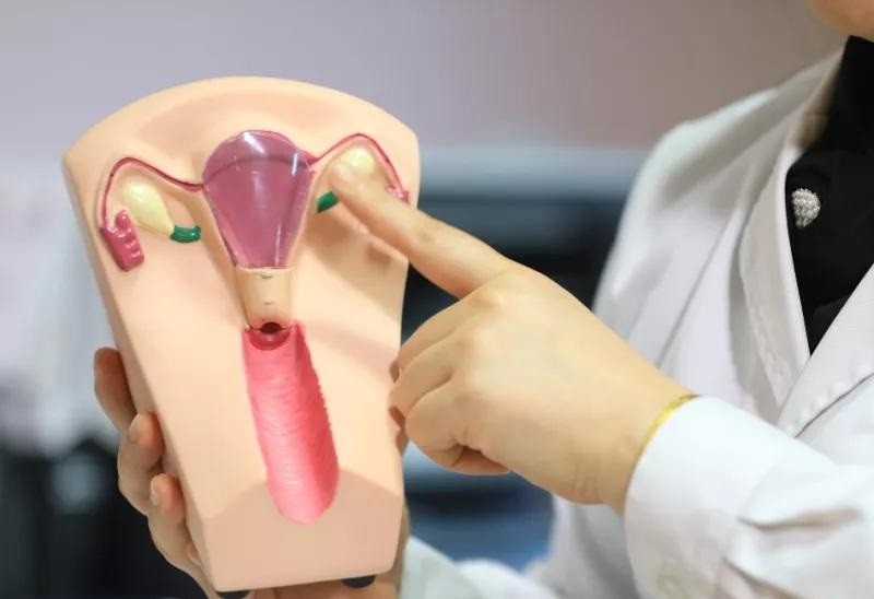 女孩初次来例假是多大岁数,女孩第一次月经多大年龄正常