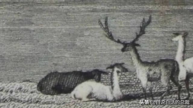 超级血液代表着什么,超级血液是啥