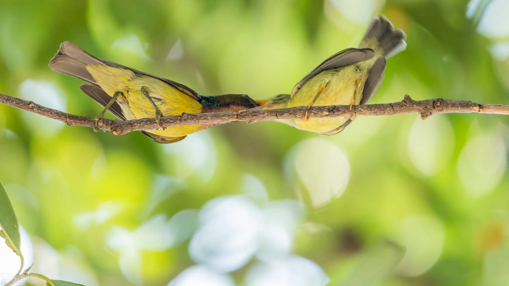 各个国家的国宝大全,世界上的各个国家的国宝