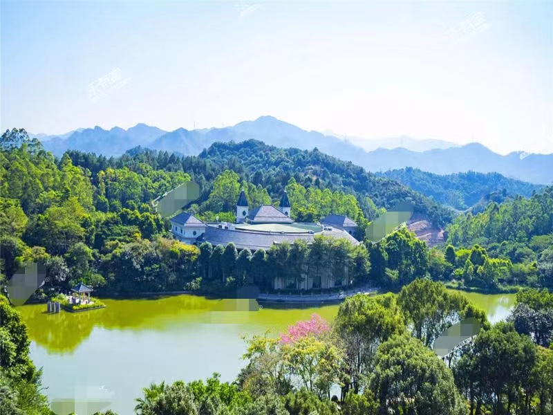 400多万在广州买别墅,在广东清远花400万买别墅