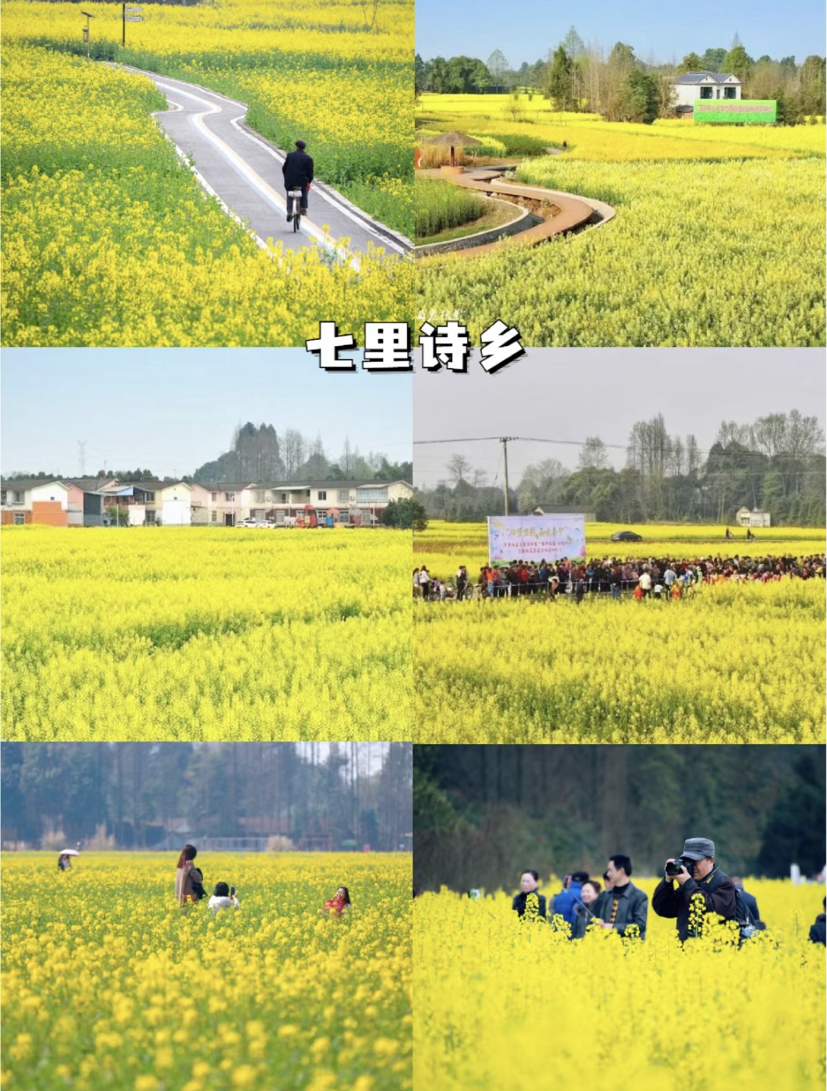 成都火爆的都江堰青城山怎么玩？超全干货攻略来了