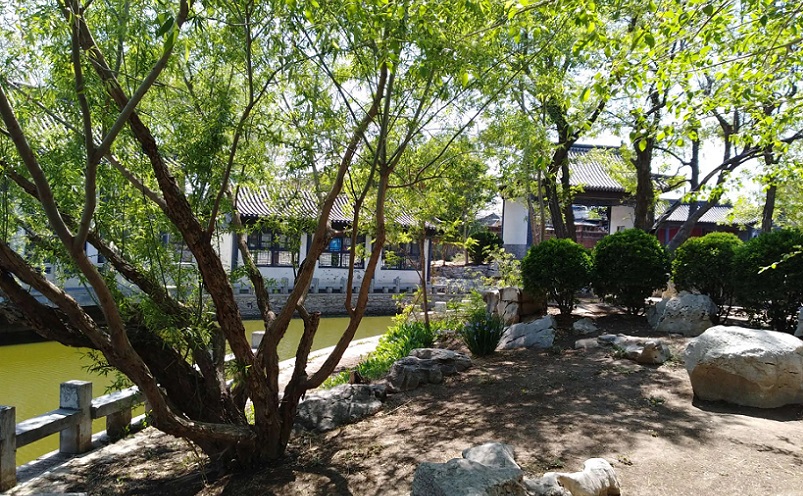 天津周边冷门海边,五一短途冷门自驾游天津