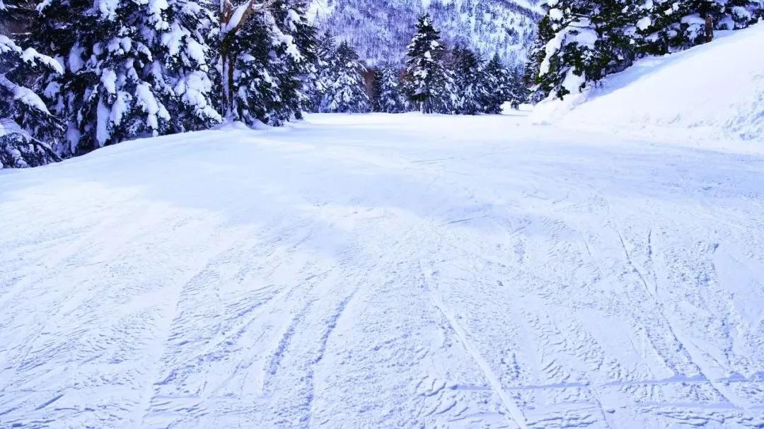 滑雪季来啦！哈尔滨这些滑雪场你去过几个？