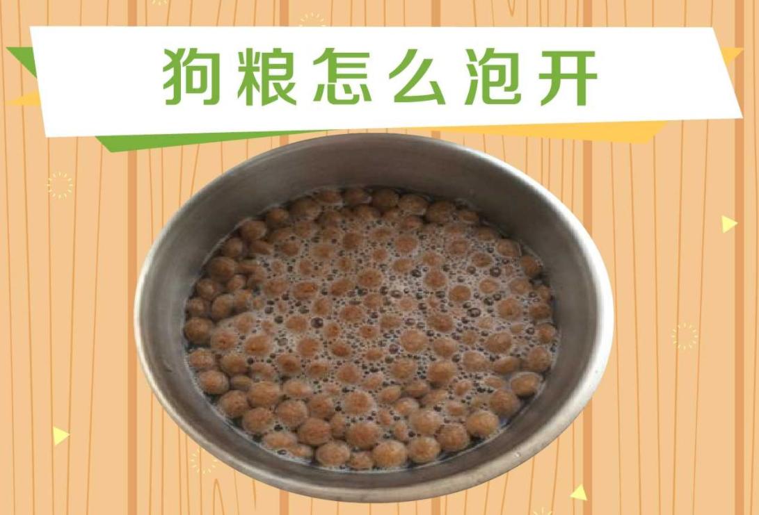 正确泡狗粮的方法,怎么正确泡狗粮