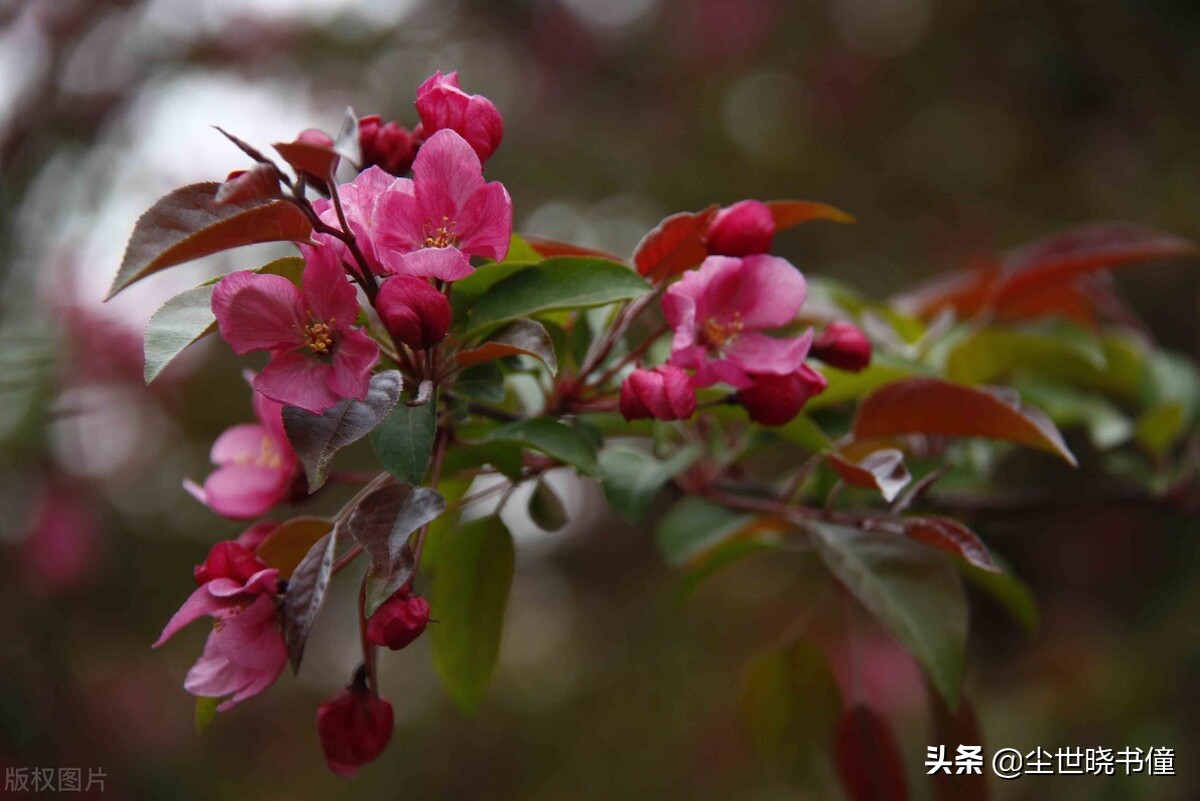 一首经典的哲理词！每一句都是至理名言，值得我们细细品读