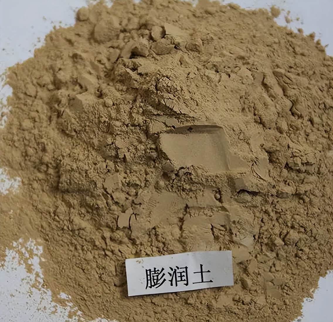 宠物毒粮有哪些 (宠物饲料鉴别)