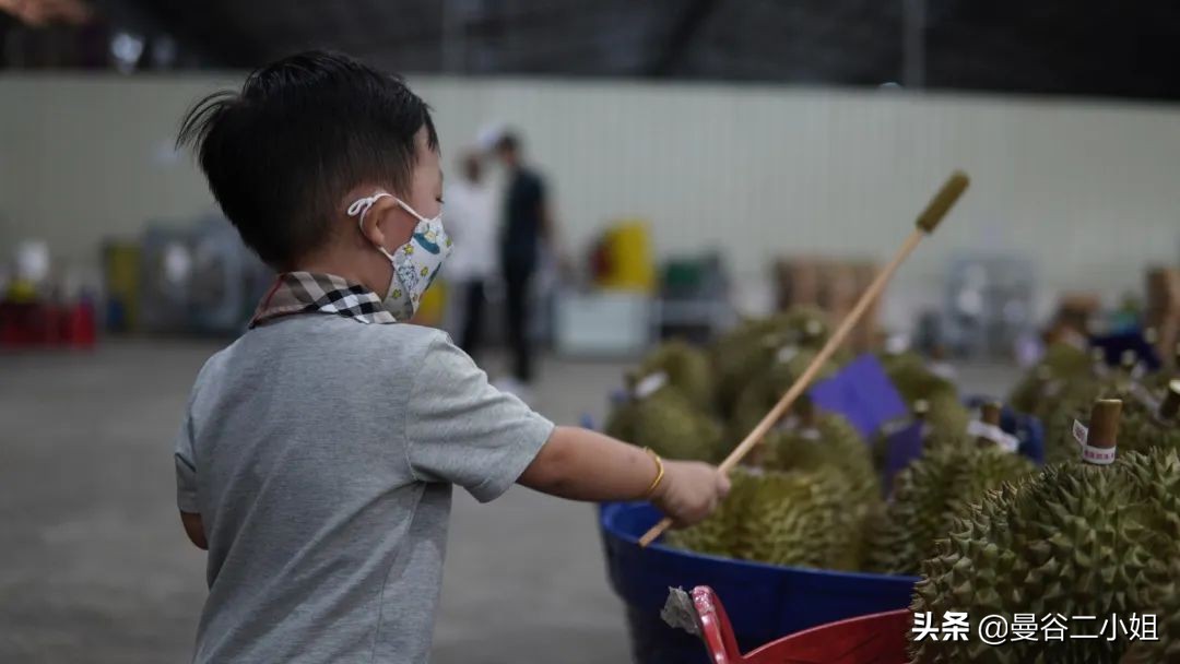 真的榴莲自由了！在泰国榴莲工厂干饭，幸福的泪水从嘴角流下来