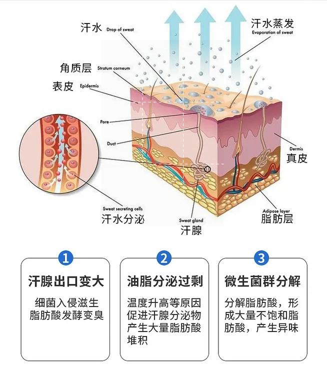 腋下十里飘“香”？4招告别汗味异味