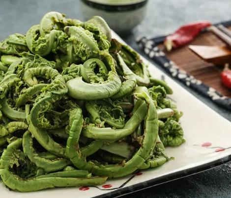 东北山野菜名和图片,东北的特色美食山野菜