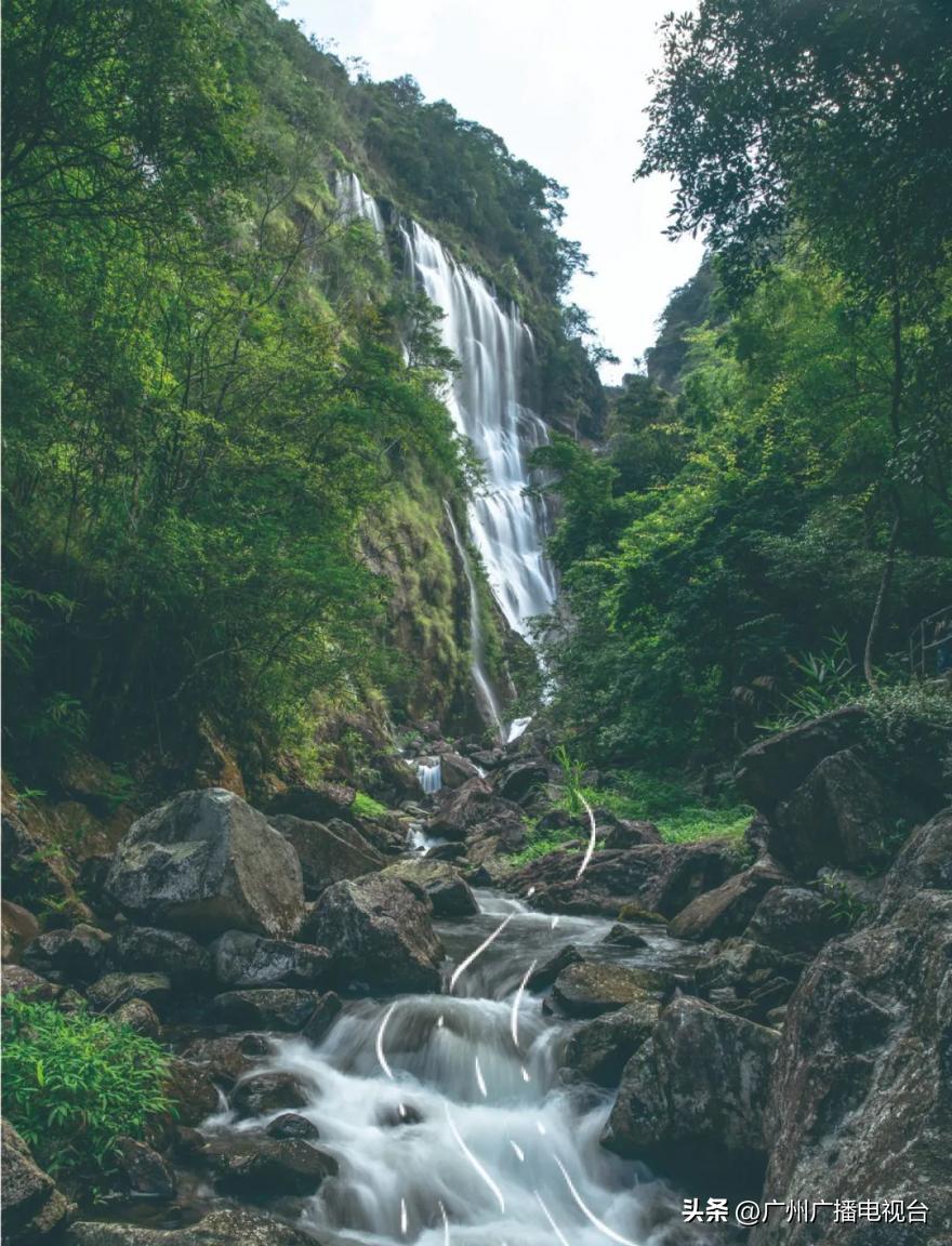 广州室内避暑的地方,广州夏日避暑胜地