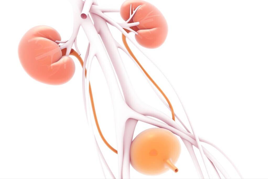 肾结核有结核典型症状吗,肾结核会引起尿路感染吗