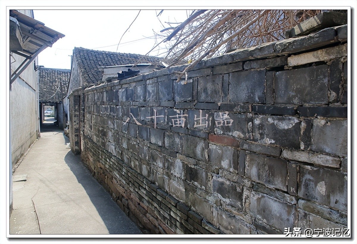 走访敬德村的杨家垫桥和颜家桥自然村——宁波市镇海区骆驼街道