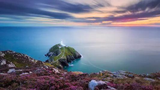 美军虐囚犯后果,美军虐囚行为