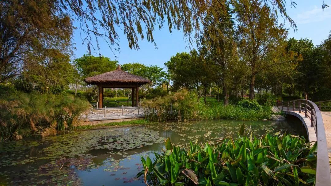 厦门海悦山庄离海边多远,厦门海悦山庄雨林别墅