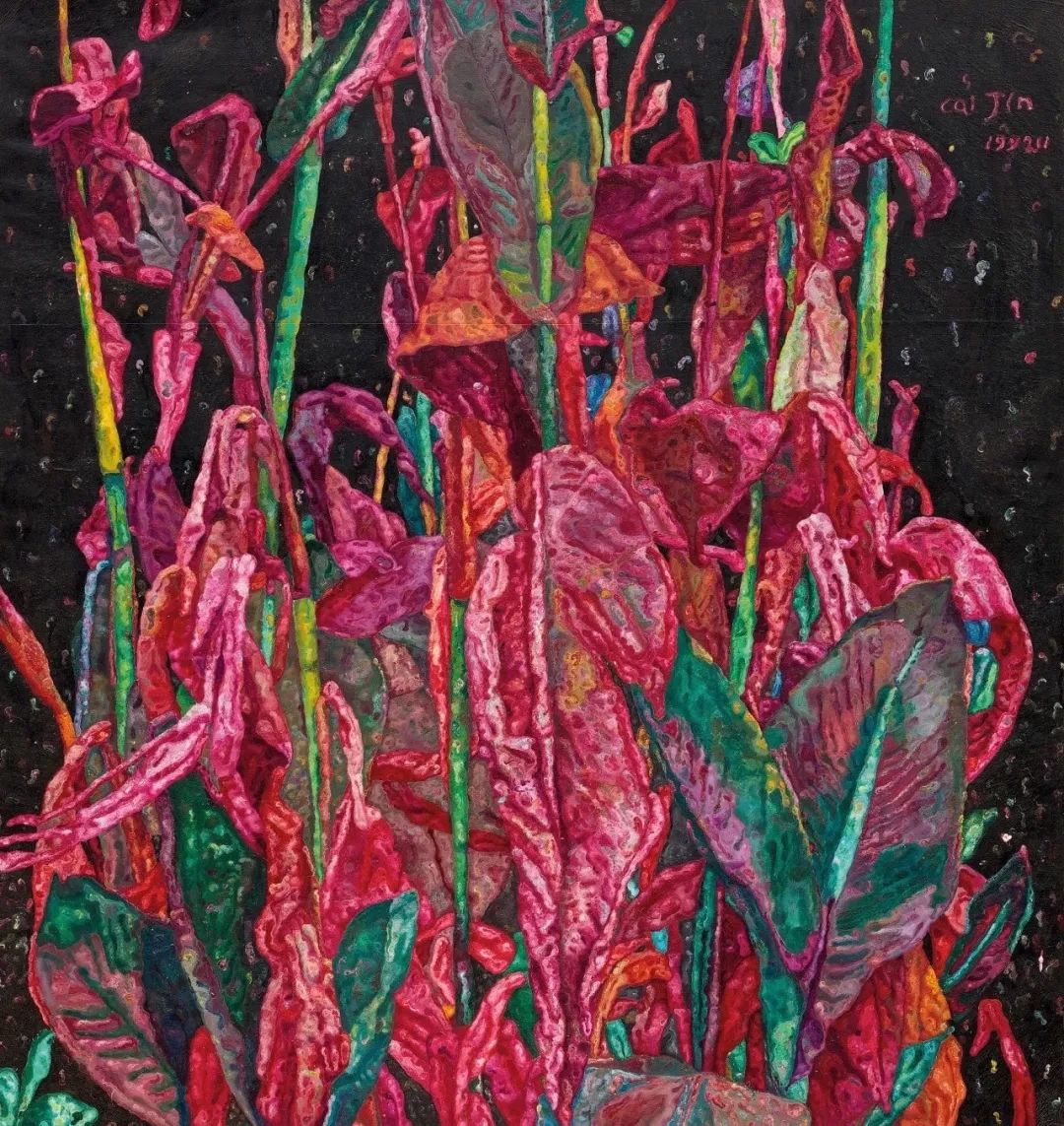 蔡锦被遗忘的十年|艺术栗子