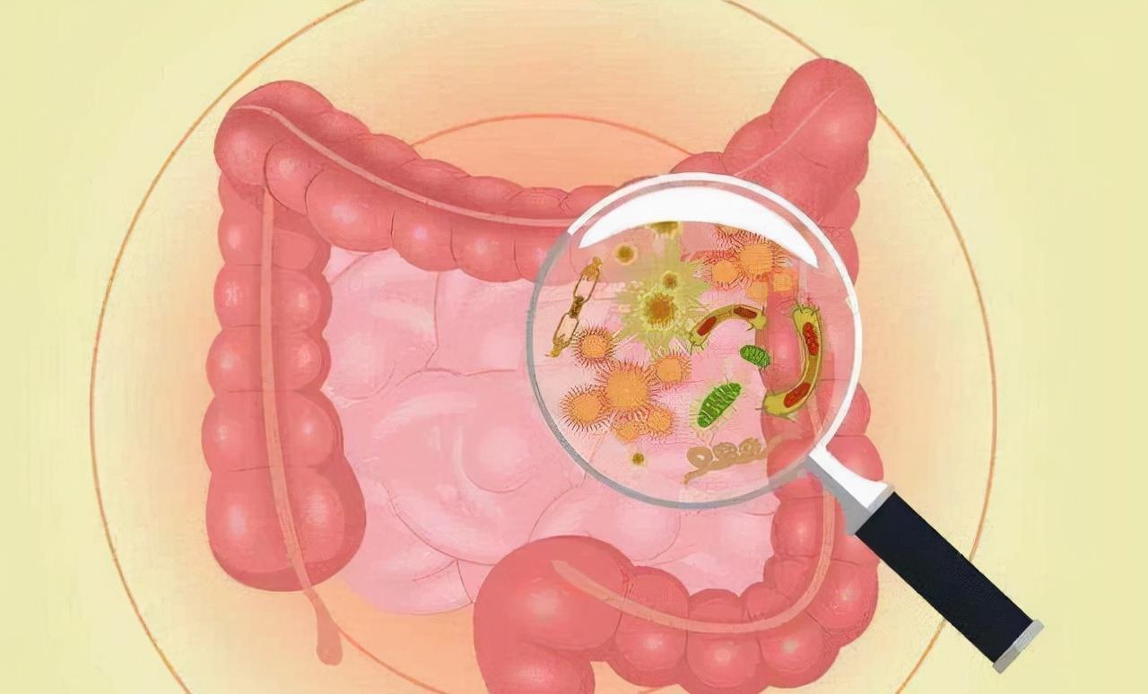 为什么人类的排泄物都是臭的？吃下去对身体有害吗？有人曾试过