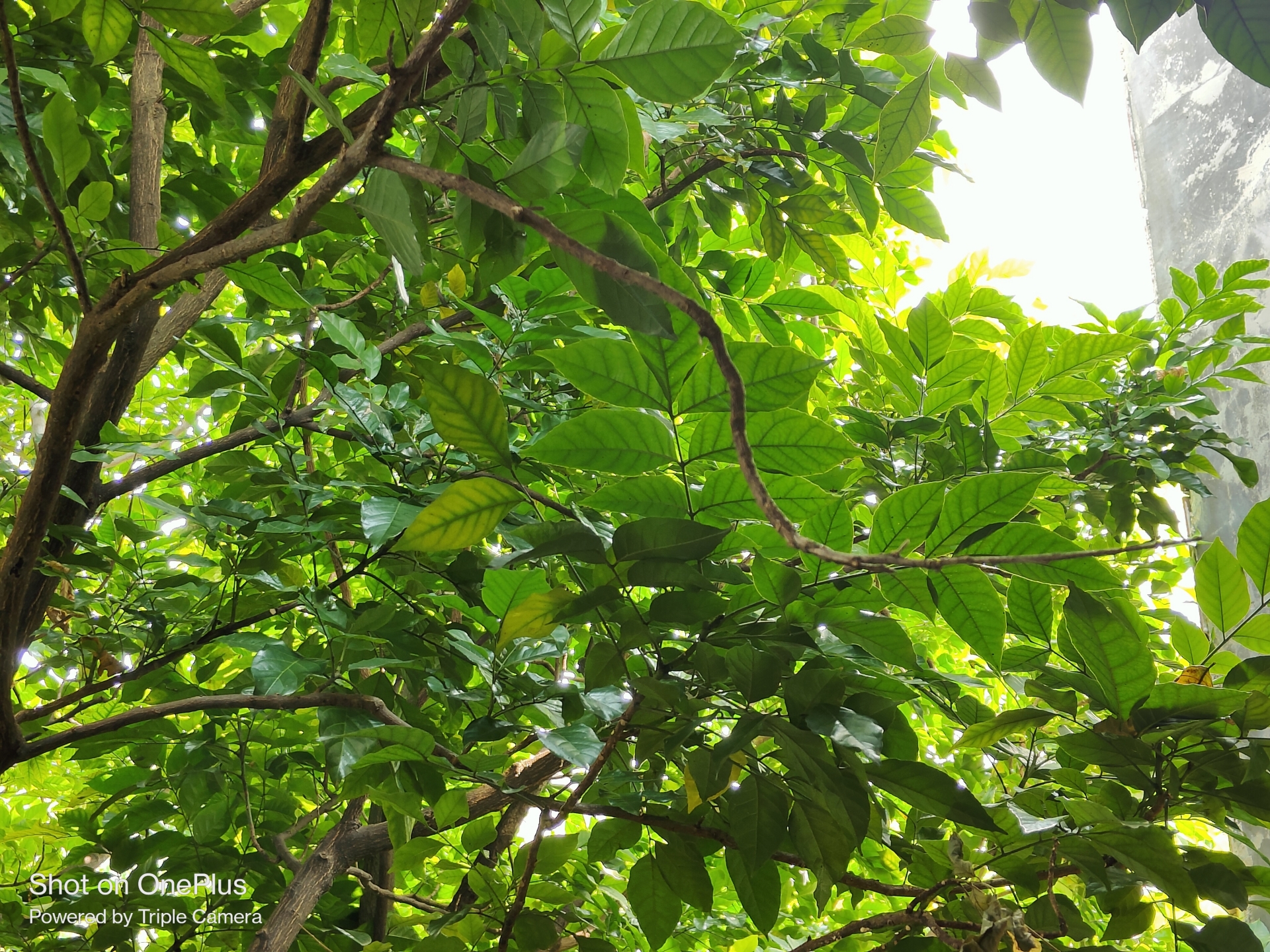 双机党iphone13promax,入手两个苹果手机怎么选择