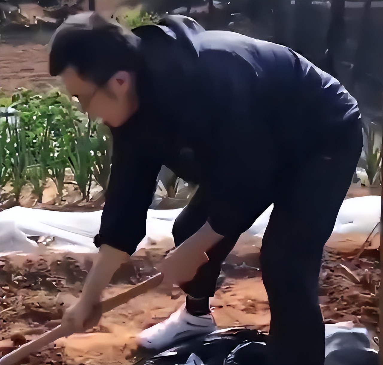 韩德君成长之路,韩德君第二阶段精彩集锦