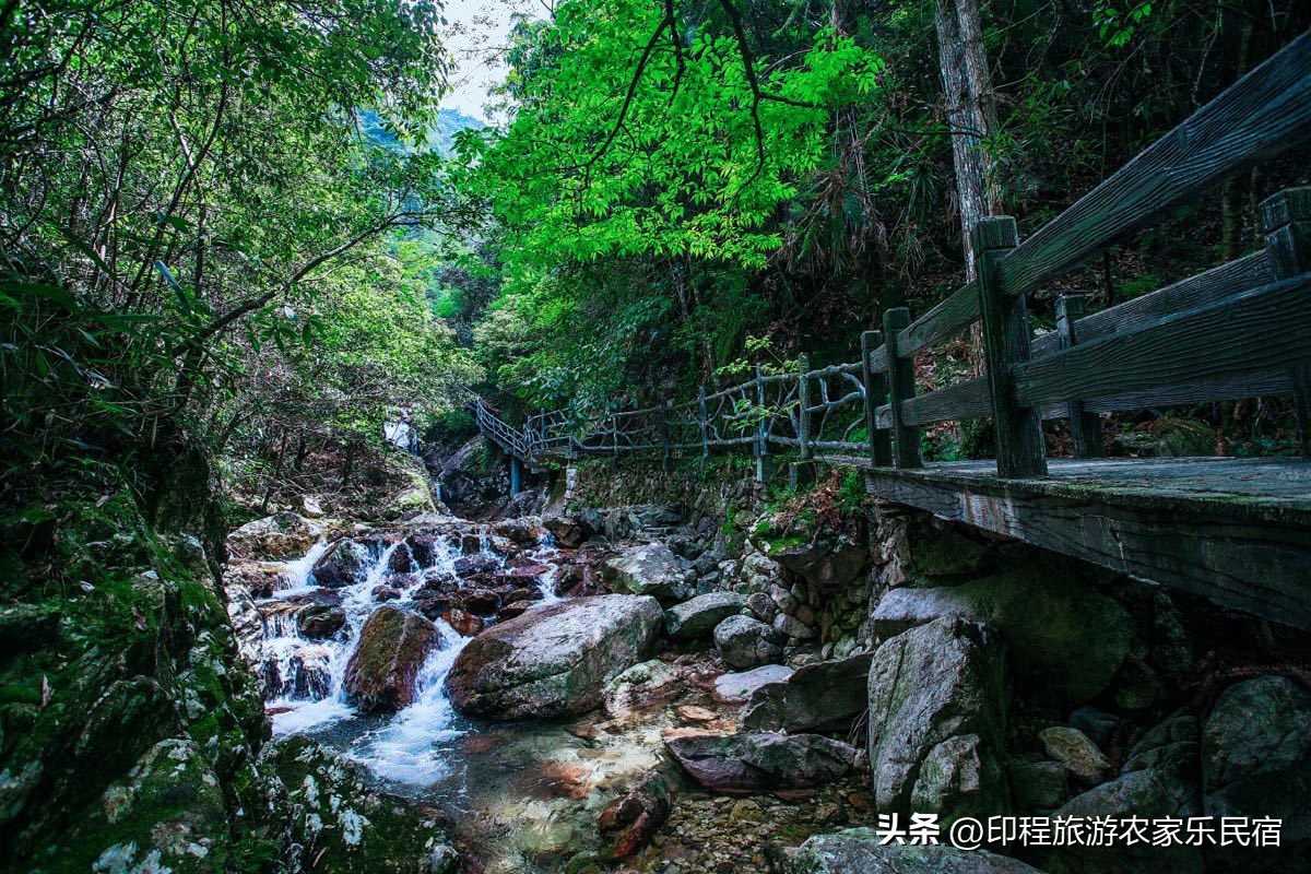 浙江高山避暑农家乐,浙江避暑最好包吃住的农家乐推荐