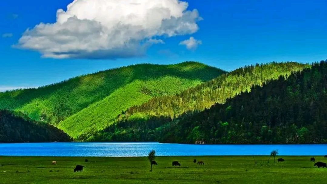 云南全部5a级旅游景点有哪些,云南拟新增10个国家4a级旅游景区