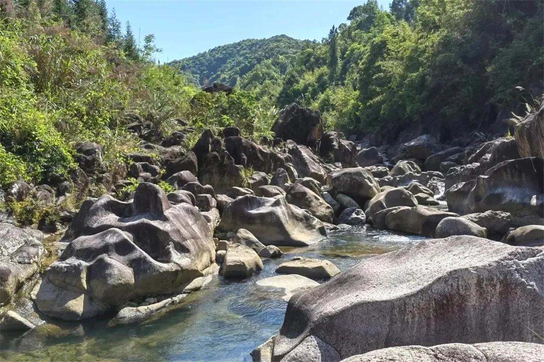 广州从化赏荷花胜地,从化草埔荷花