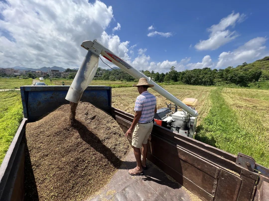 智库观察丨新兴县天堂镇如何从“农业大镇”变“农业强镇”