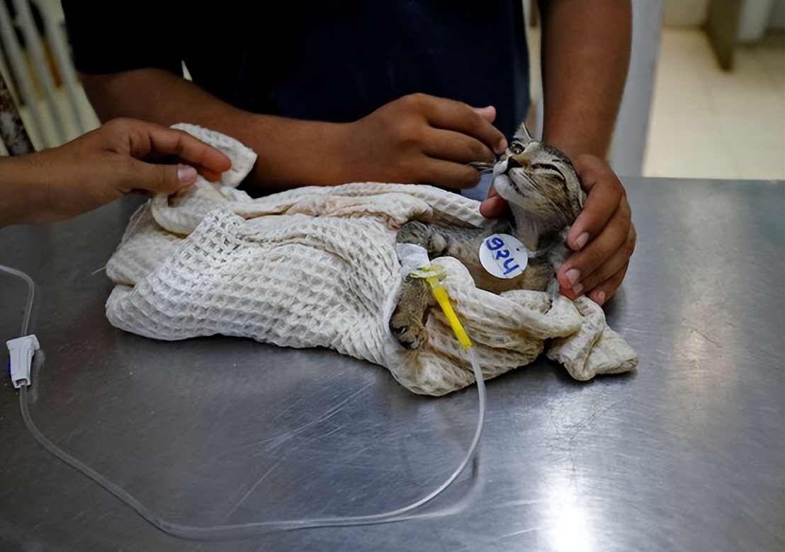 夏季高温中暑事件,高温中暑死亡事件预警