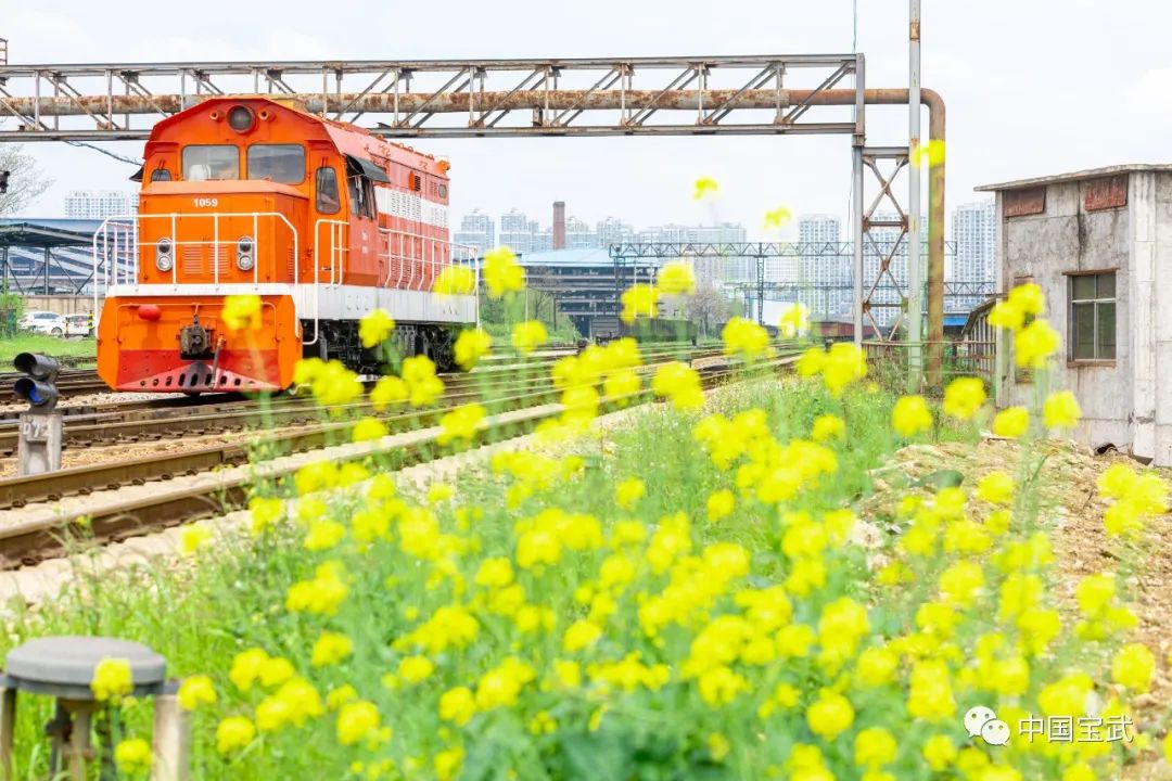 新钢为什么利润好,新钢股份业绩