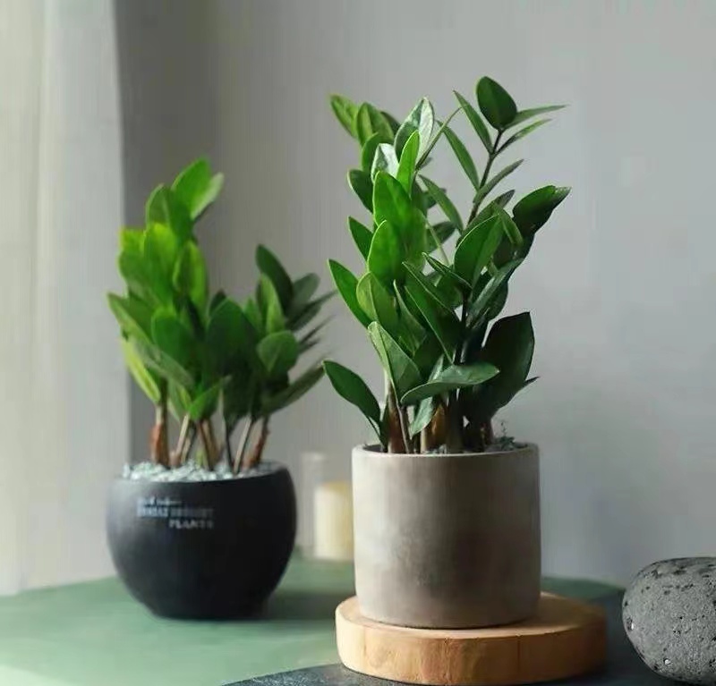 退休了可是退休工资太低了怎么办,我的退休工资怎么突然少了88元