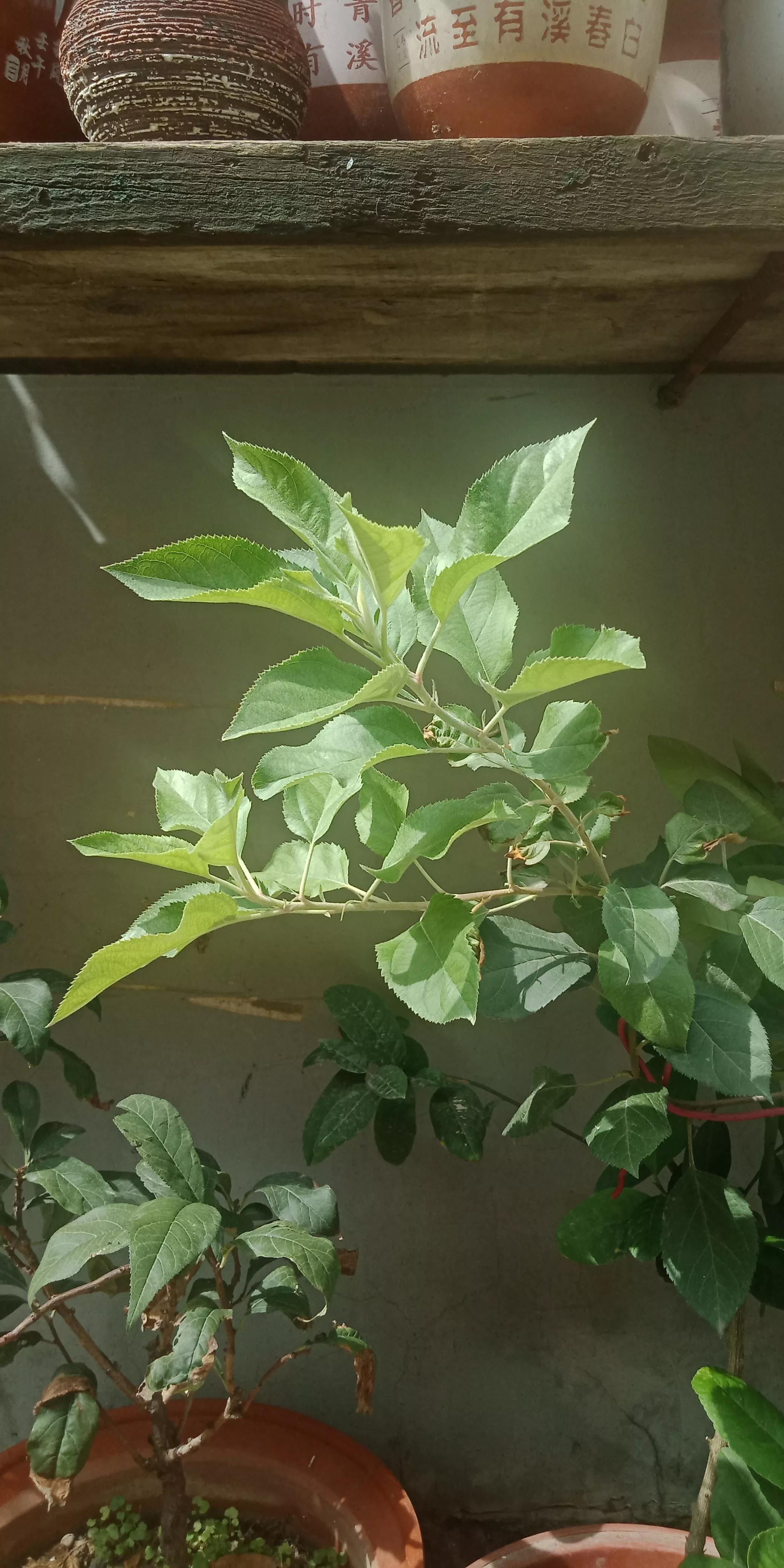 房屋漏水房顶需要怎么改造,旧房改造后楼顶漏水找哪里处理