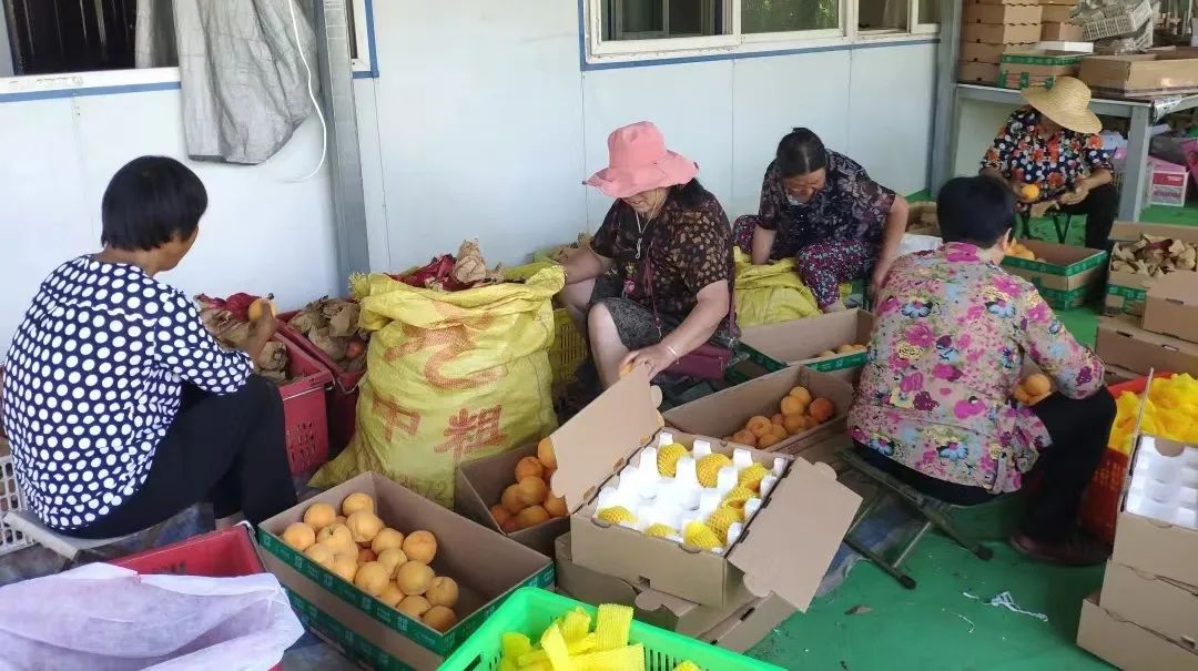 特色果业优质化发展,特色果业新政策