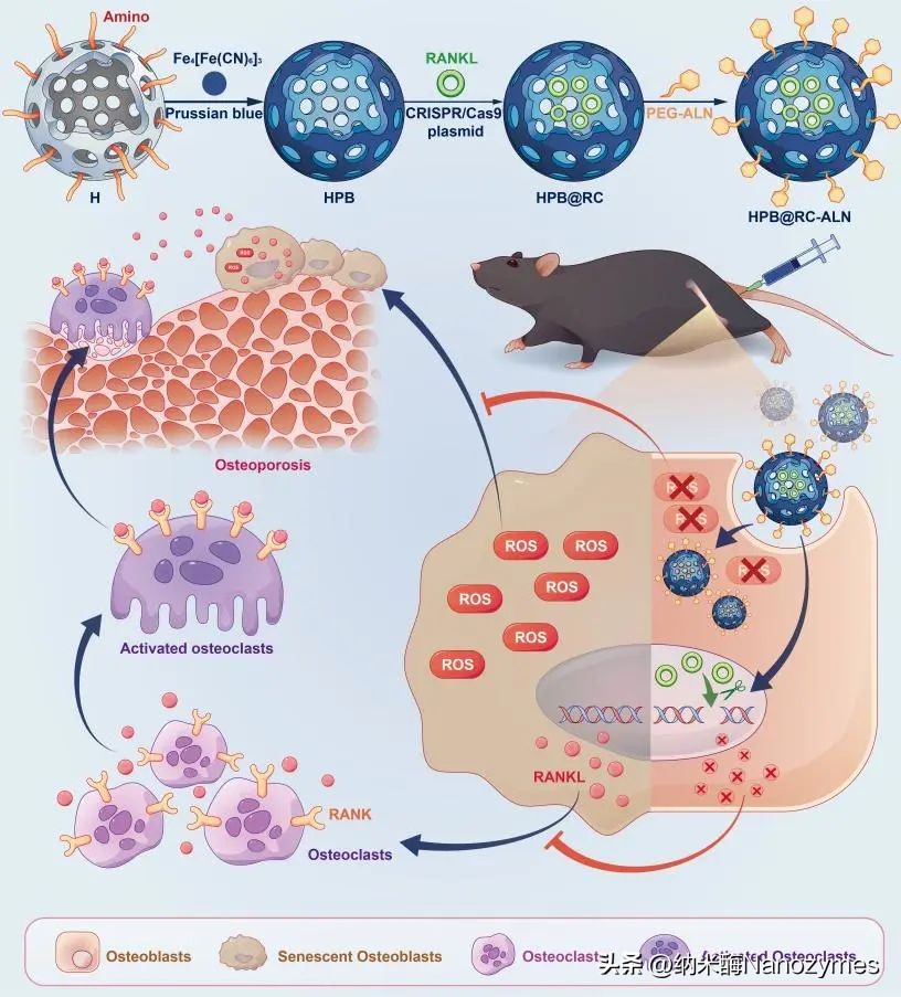 nanotoday期刊,nanotoday官网