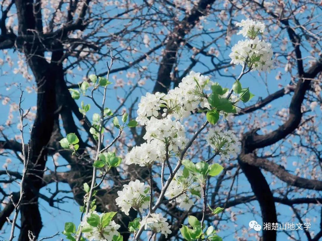 母亲是文盲沟通很困难,妈妈是文盲想认字
