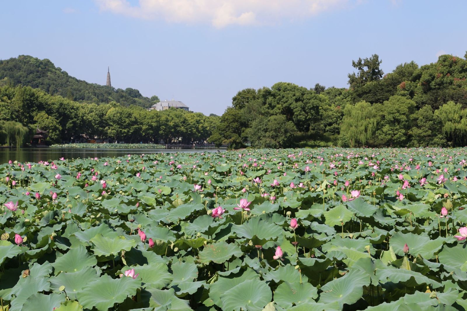世界最美西湖图片,最美西湖十大风景