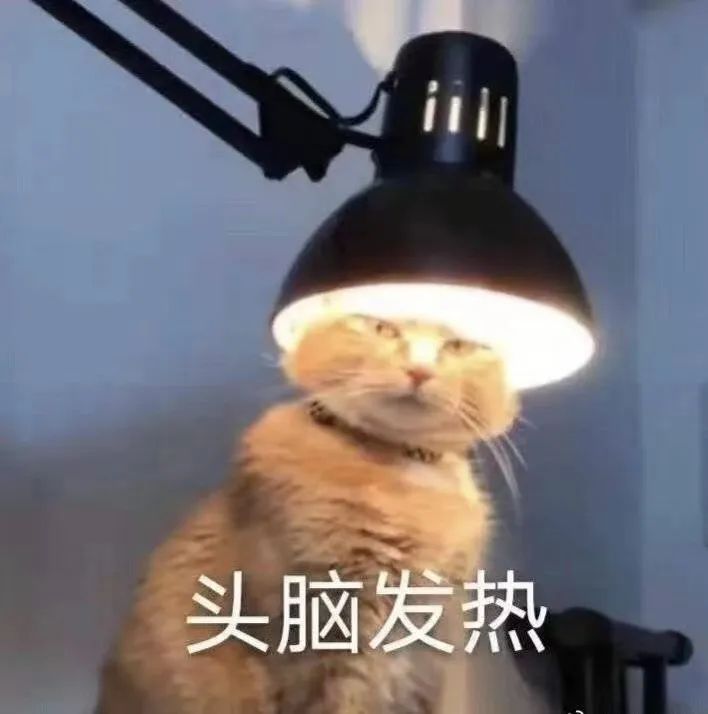 谁懂啊，一年级的小朋友想当“热狗侠”，我哭得鼻涕一把泪一把