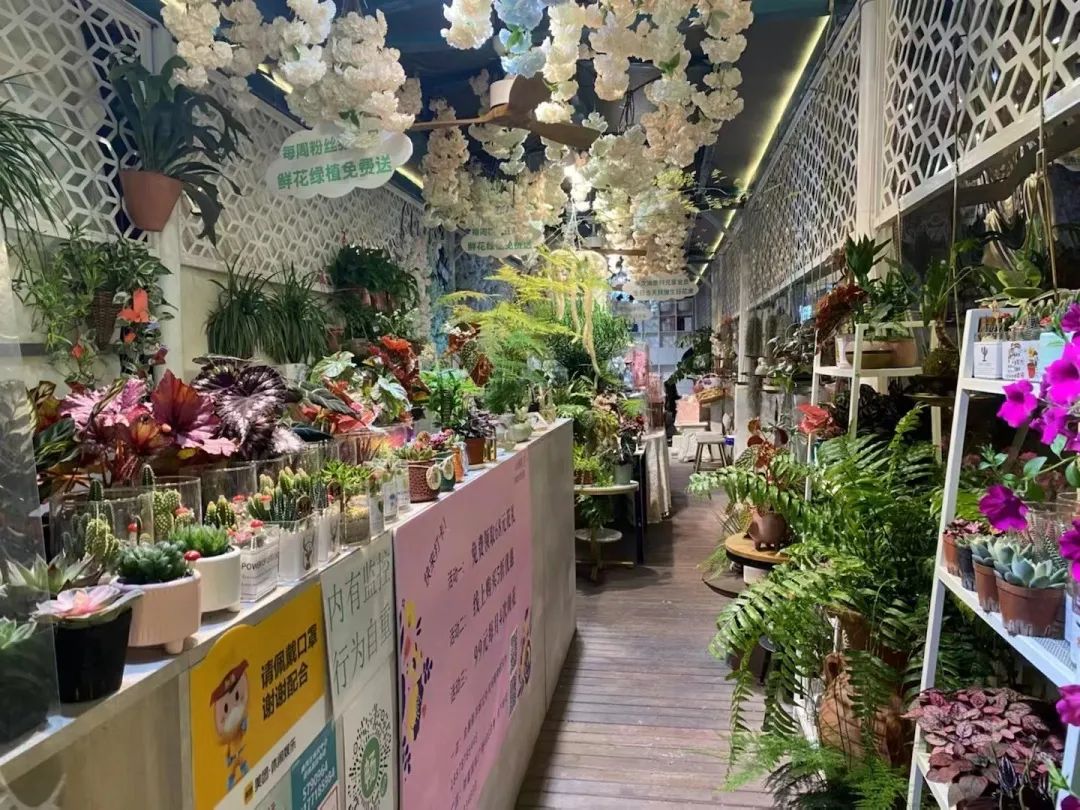 她只想回归自然，开花店却一年净利润50多万元——南宁小姐姐将理想照进了现实