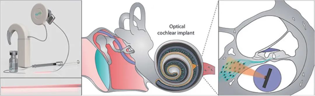 量子光学、太赫兹......2021年光学热点回眸（下）|回眸