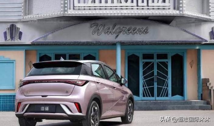 新西兰年度最佳电动汽车,中国汽车新西兰