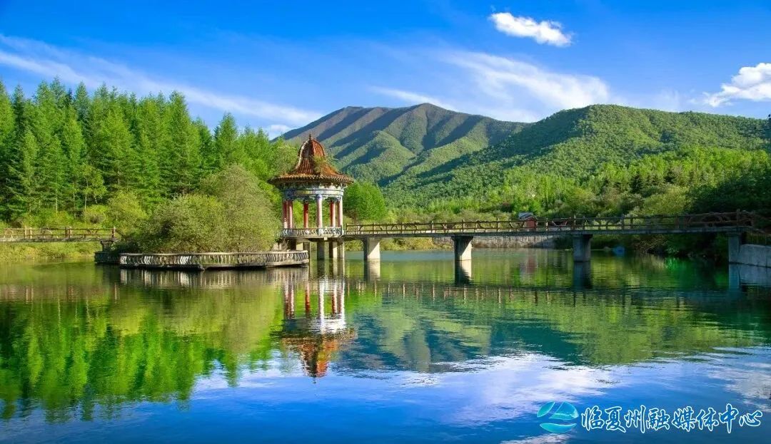 2024骞村宸磋兒閰嶈壊,缁胯壊鐨勫宸磋兒閰嶈壊