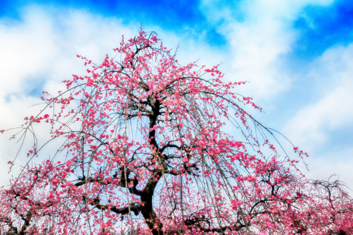 西安周边游玩的地方排行榜前十名,西安周边摩旅一日游最佳景点