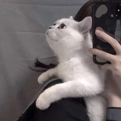 唯美句子个性签名爱情,经典签名唯美走心的句子