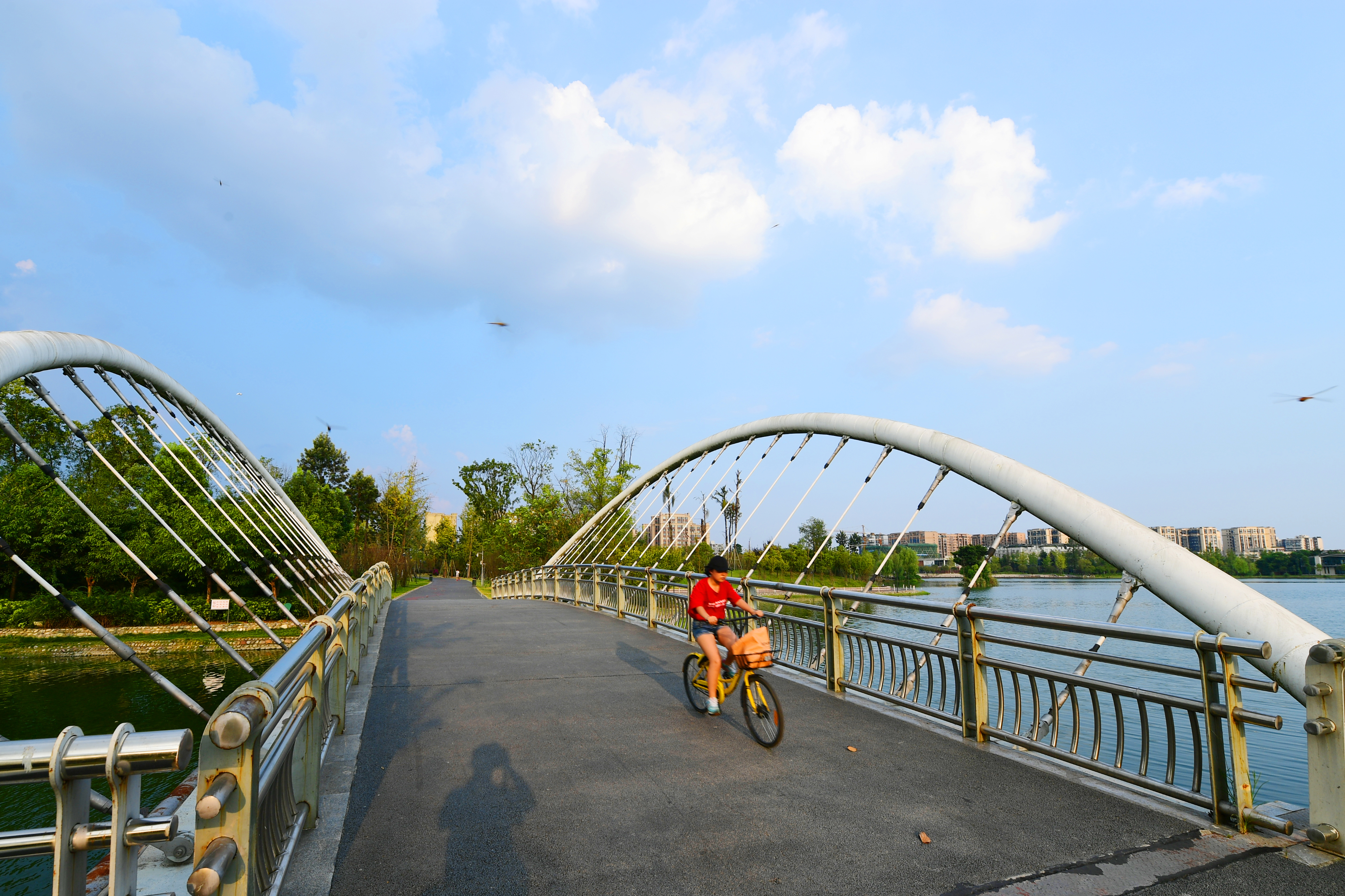 成都双流区文旅活动,成都双流区文化旅游项目