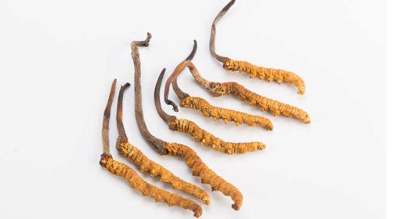 这几种保健品不值得买,拒绝忽悠别被劣质保健品套路了