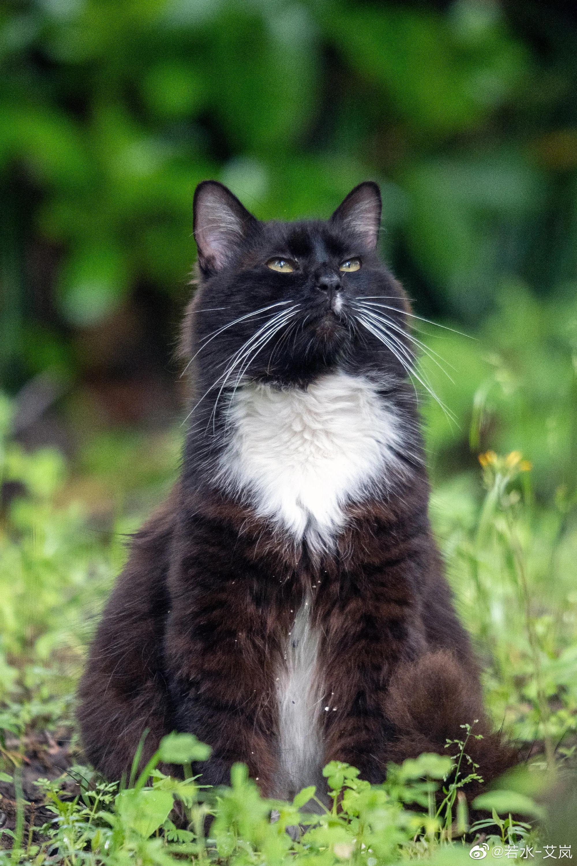 上海市嘉定区安亭国际汽车城,上海嘉定安亭国际汽车城