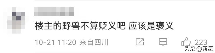 马东锡和芮呈和如何认识的,马东锡和芮呈和合影