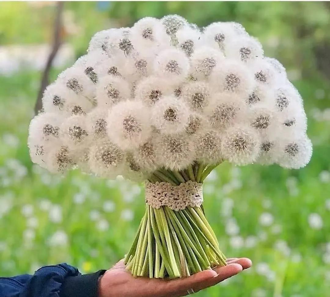 一日一诗王昌龄,一日一诗吟诵